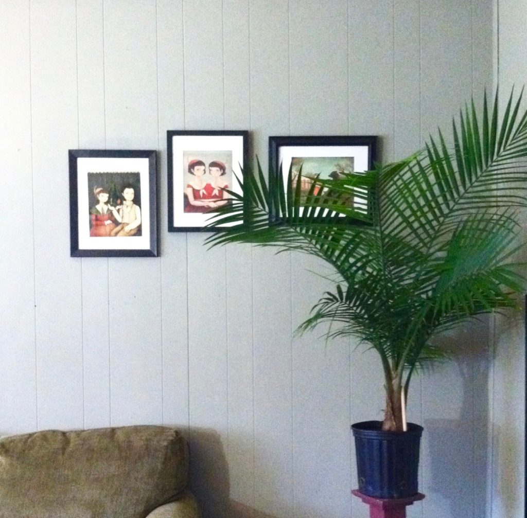 Palm Tree