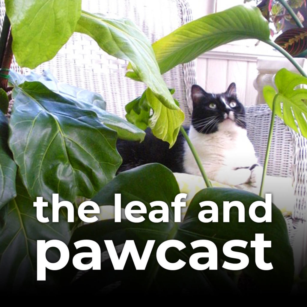 indoor plant podcast
