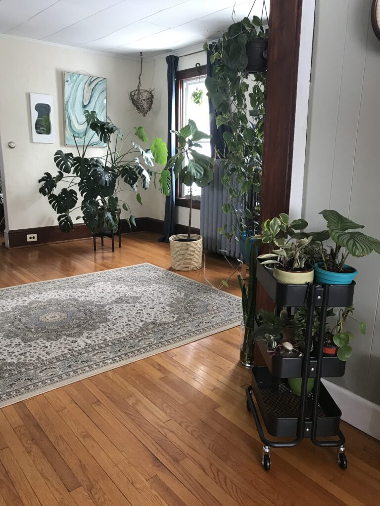 Houseplants in cart plant stand 