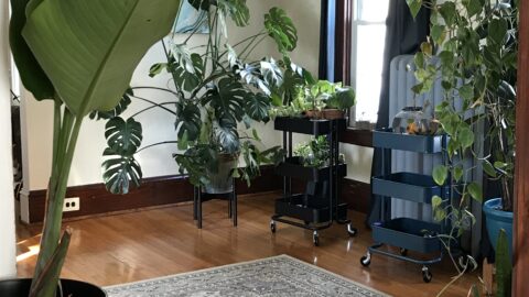 How To: Transform a Utility Cart into a Plant Stand