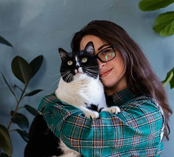 How to: Help Animals from Home