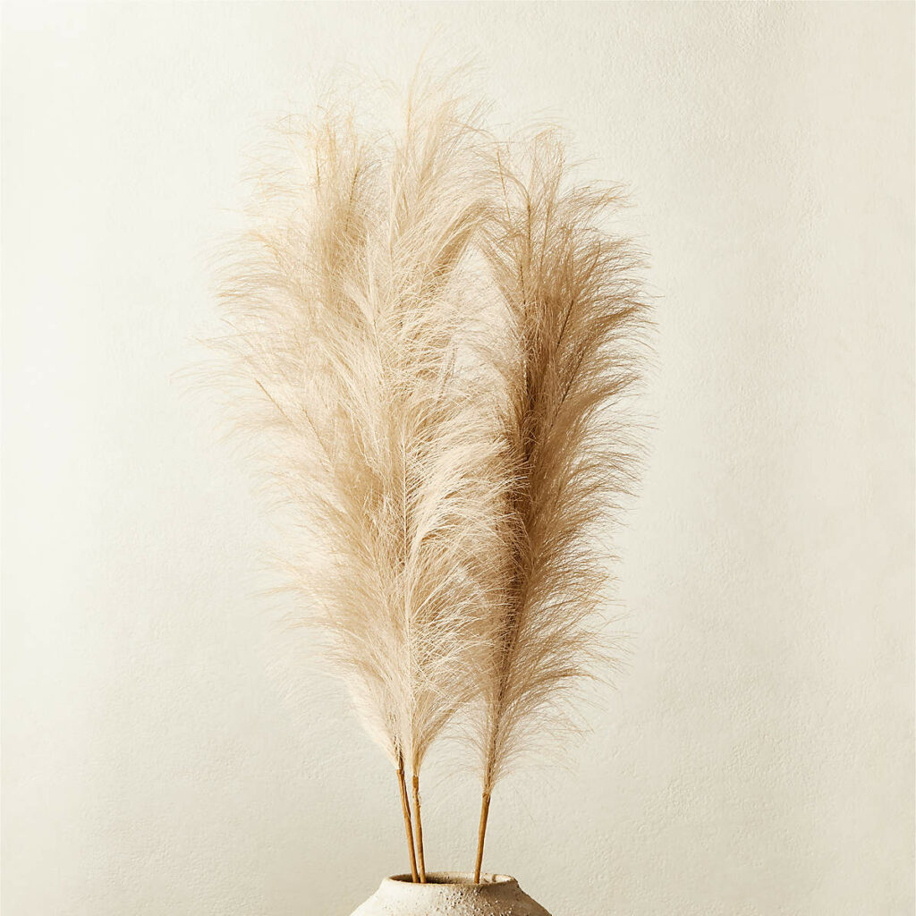 Pampas Gass Set in vase