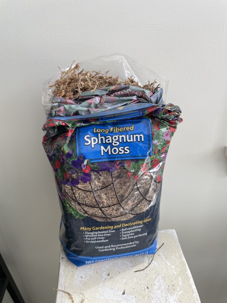 Sphagnum moss propagation 