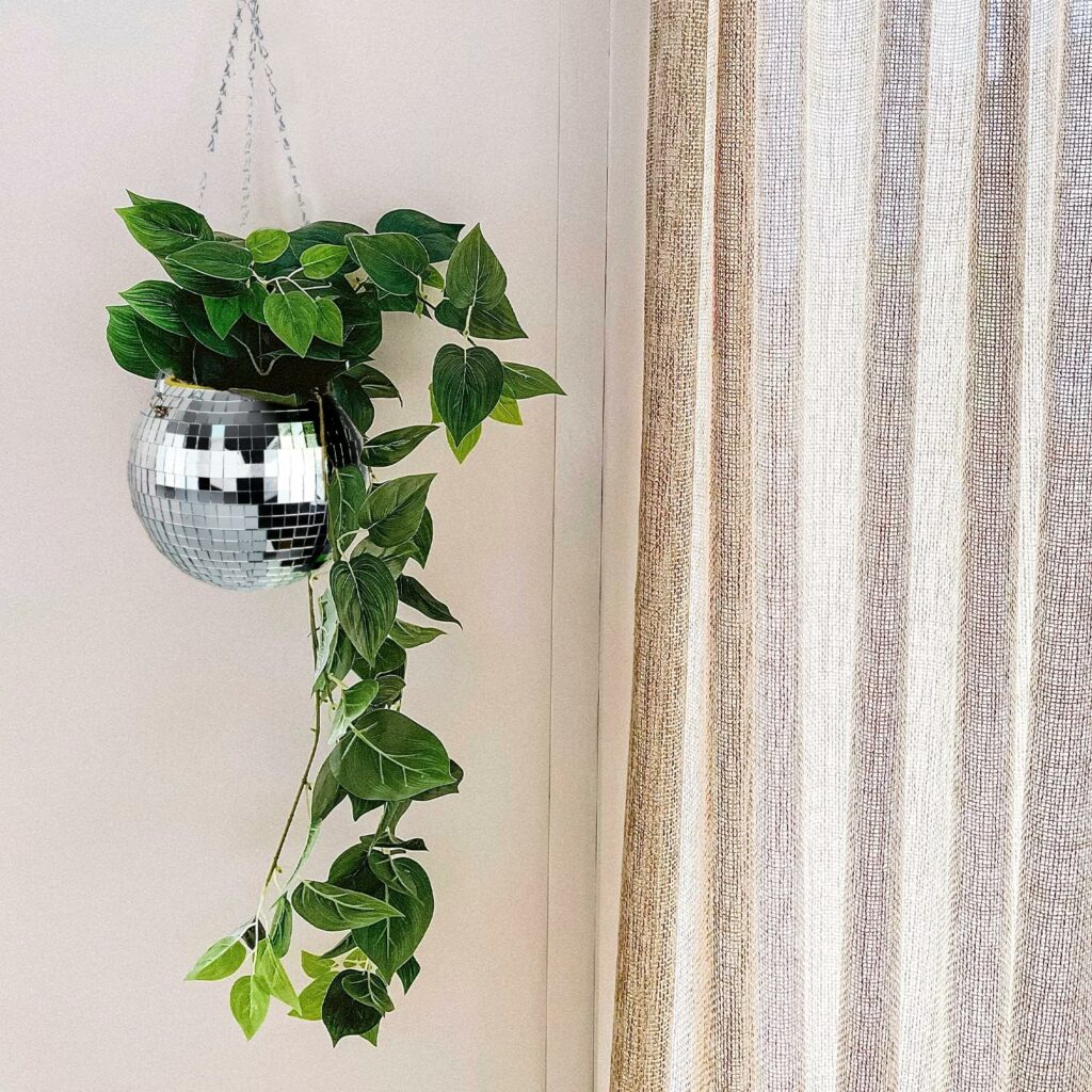 Hanging plant in disco planter