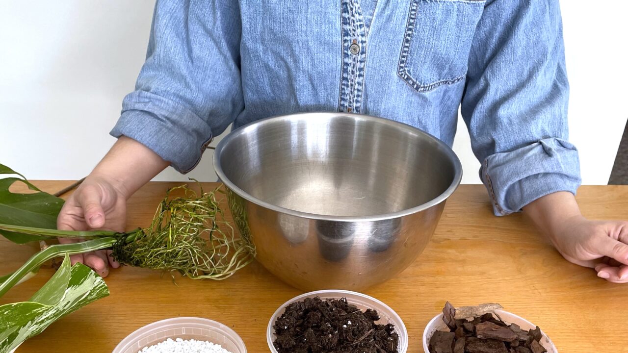 How to: Make a Homemade Houseplant Soil Mix