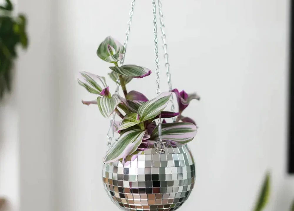 The Best Hanging Planters